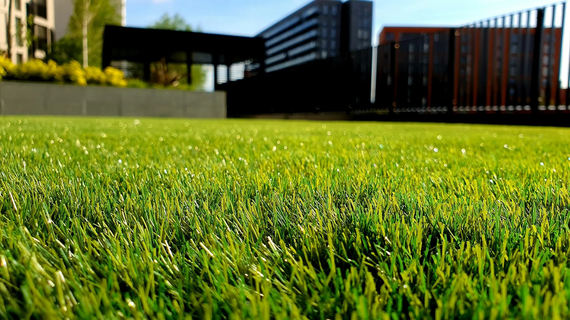 Sunlit green lawn and landscaped beds beside a modern home